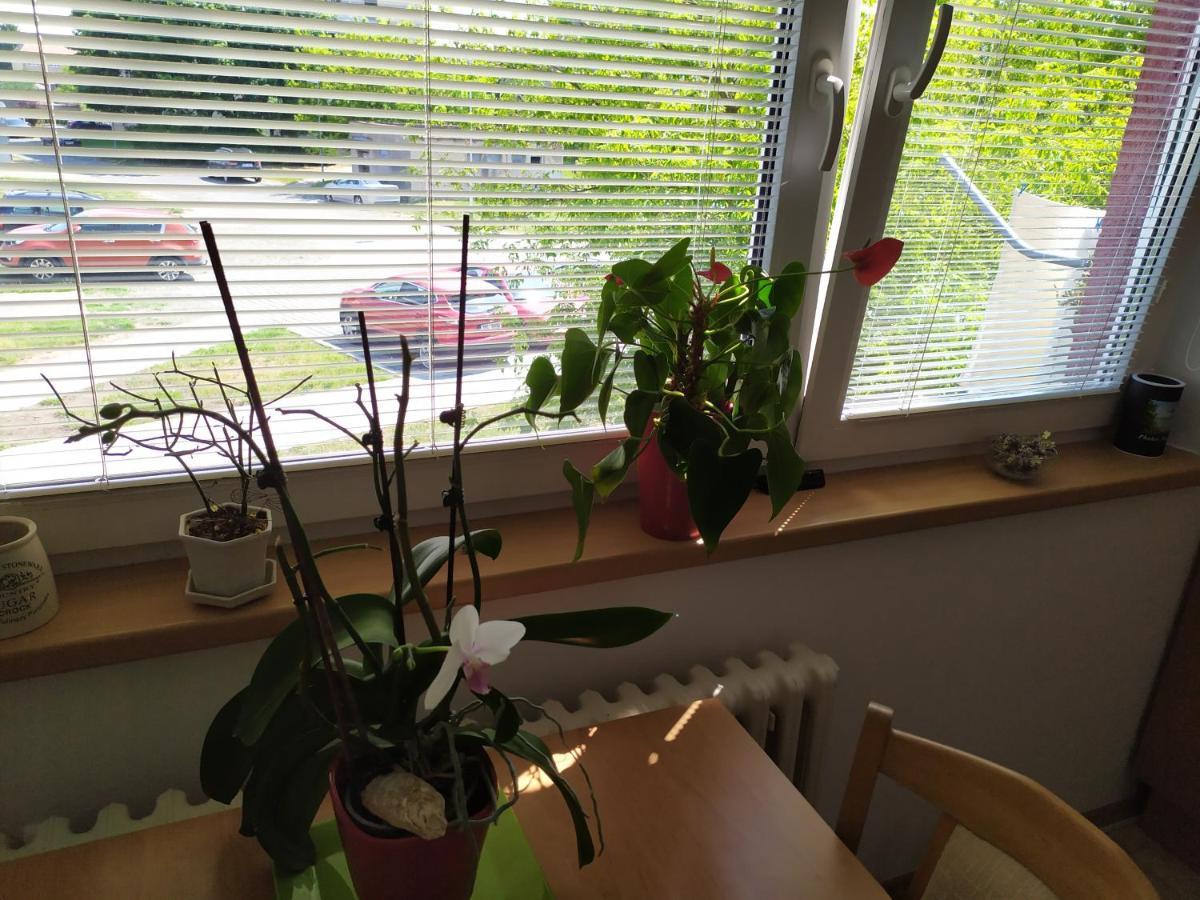 Apartman Jan Břeclav المظهر الخارجي الصورة